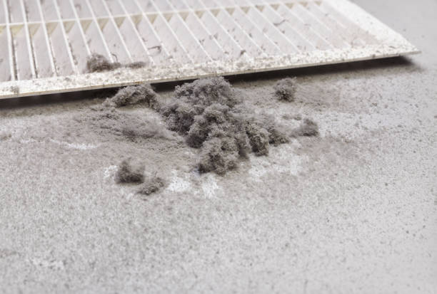 Best HVAC Duct Inspection Services  in Harrington Park, NJ